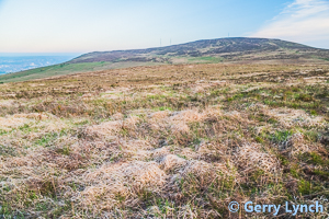 Divis from Wollfhill 20 May 2020 © Gerry Lynch